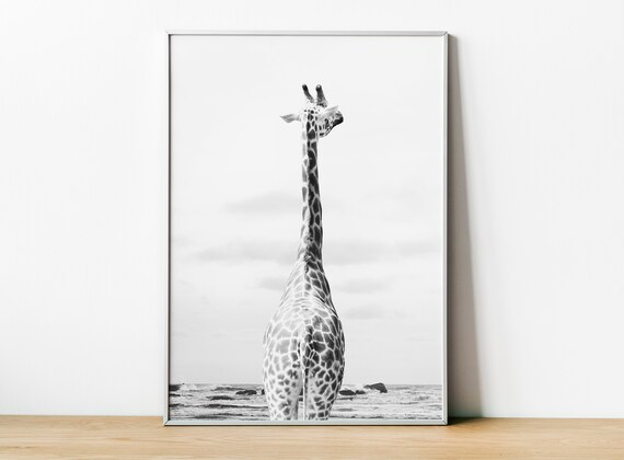 Giraffe Photo, Safari African Animals Art Print