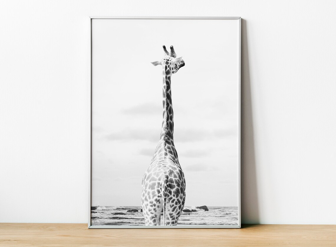 Giraffe Photo, Safari African Animals Art Print