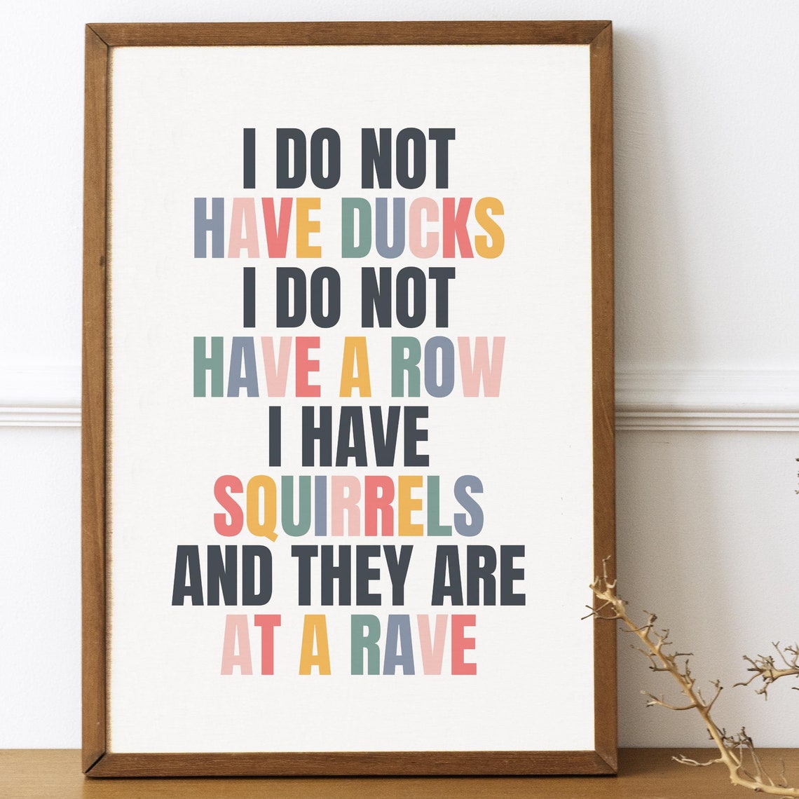 I Do Not Have Ducks Funny Squirrel Rave Quote Typography Poster