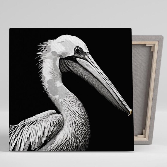 Elegant Pelican Portrait Black White Coastal Bird Wall Art Poster