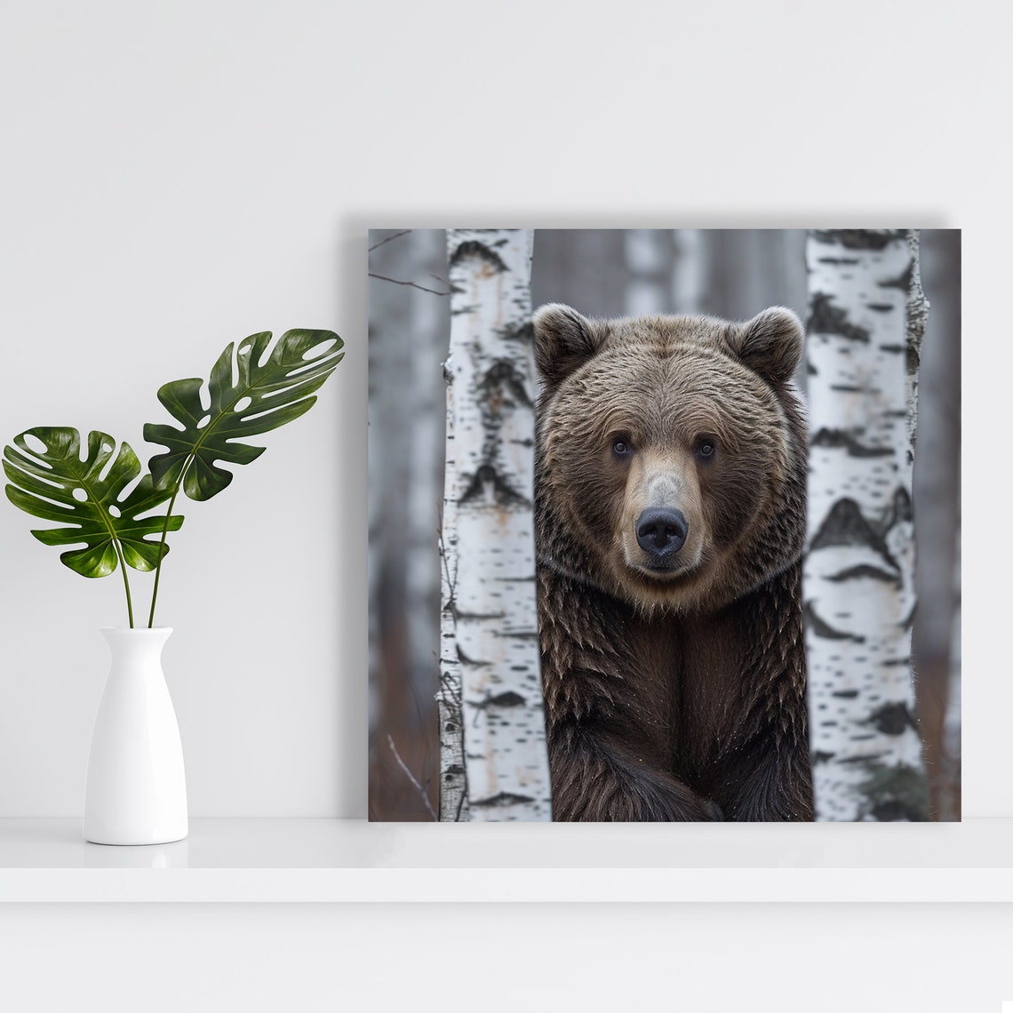 Brown Bear Standing Between Birch Trees Wildlife Photo Poster - Image 2