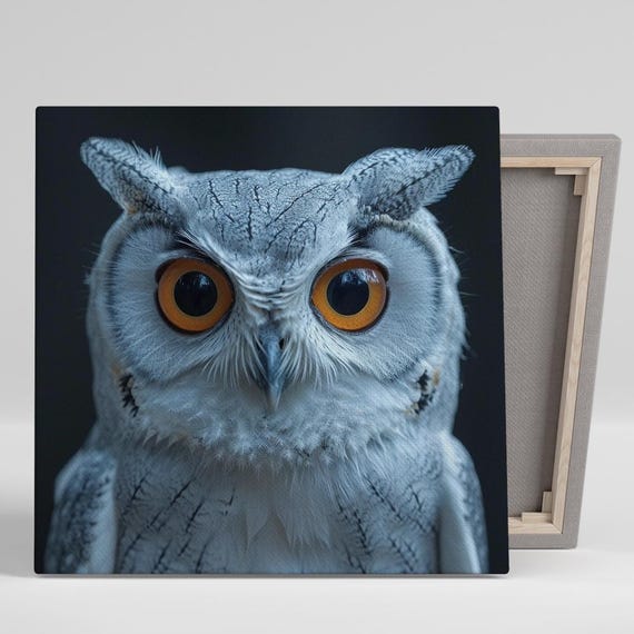 Owl Gaze Art Or Poster Animal Nature Decor Living Room Office Bedroom Library Wall Art Black White Grey Orange Modern Minimalist