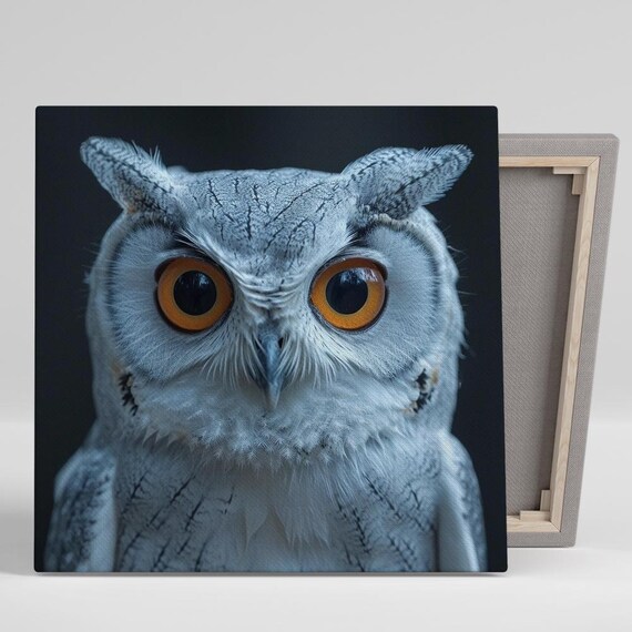 White Owl Piercing Orange Eyes Night Wildlife Close Up Photo Art Poster