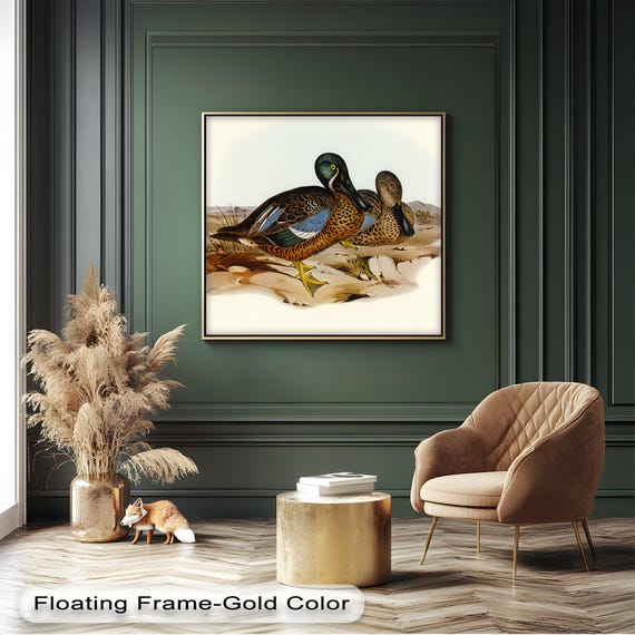 Vintage Duck Illustration Elegant Canvas Wall Art With Black Frame