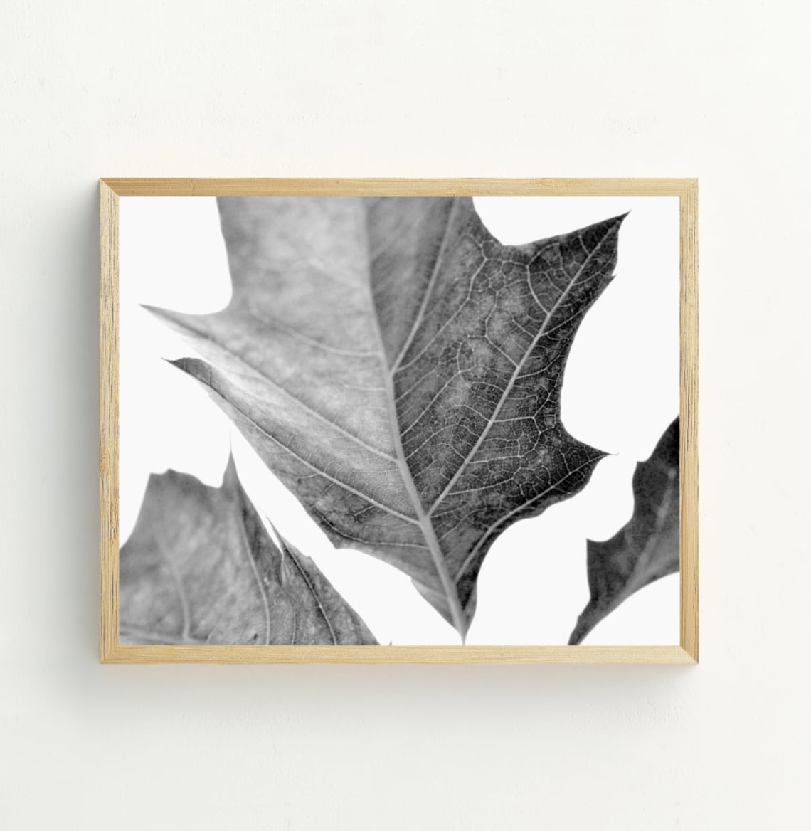 Black and White Leaves Photography Art Print - Image 2