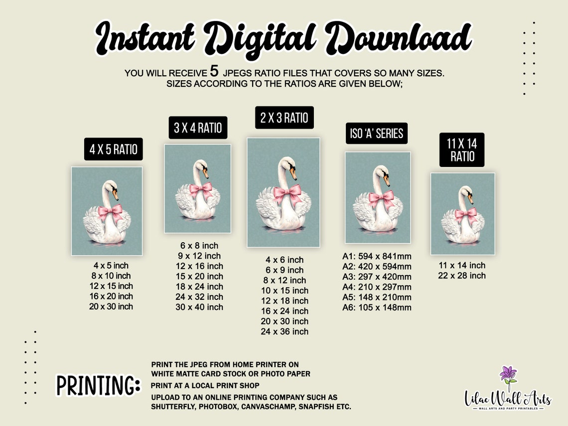 Swan Print Grandmillenial Art Coquette Room Dcor Swan Wall Art Swan Lake Swan Painting Bird Wall Art Feminine Wall Art Swan Original - Image 2