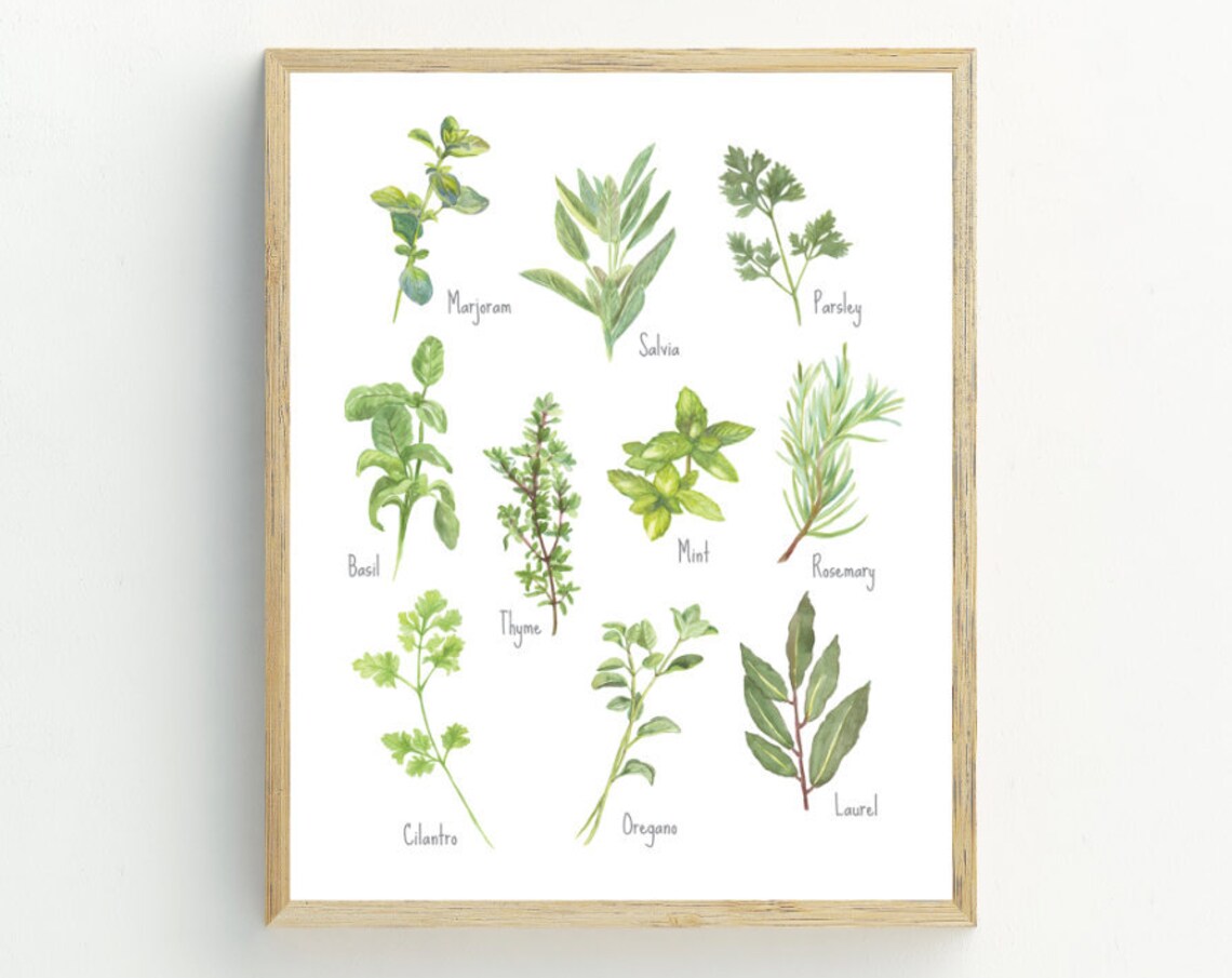 Herbs Kitchen Minimalist Art Print, Wall Decor