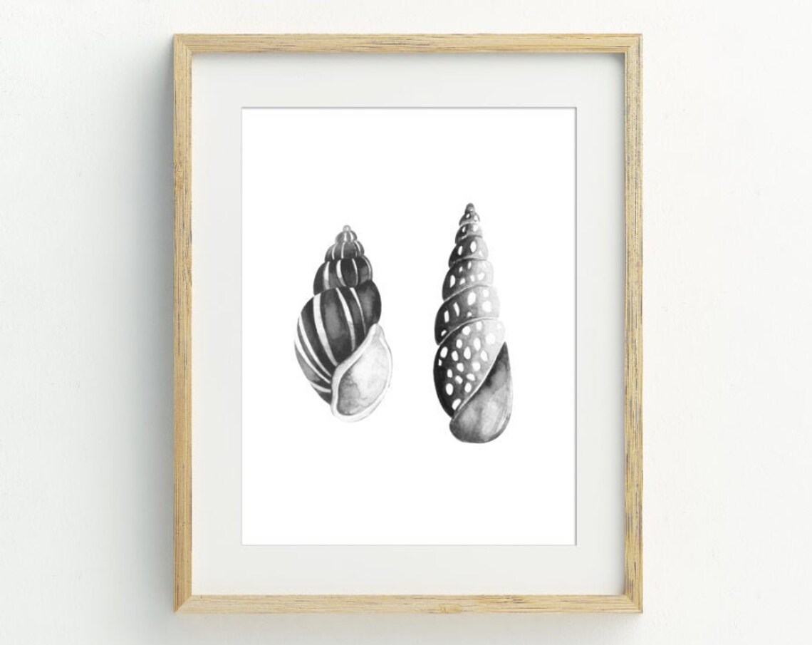 Black White Seashell Watercolor Duo Minimalist Coastal Wall Art Print