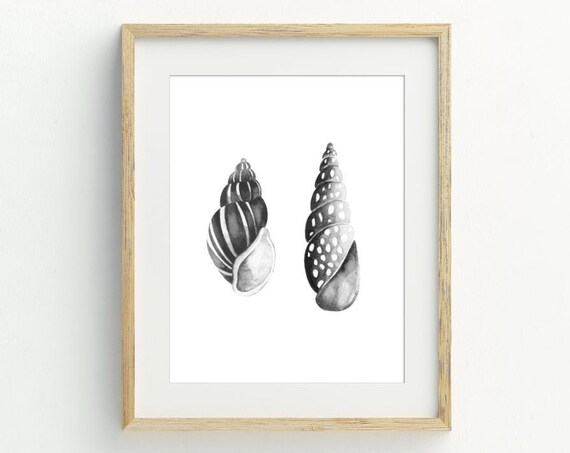 Black White Seashell Watercolor Duo Minimalist Coastal Wall Art Print