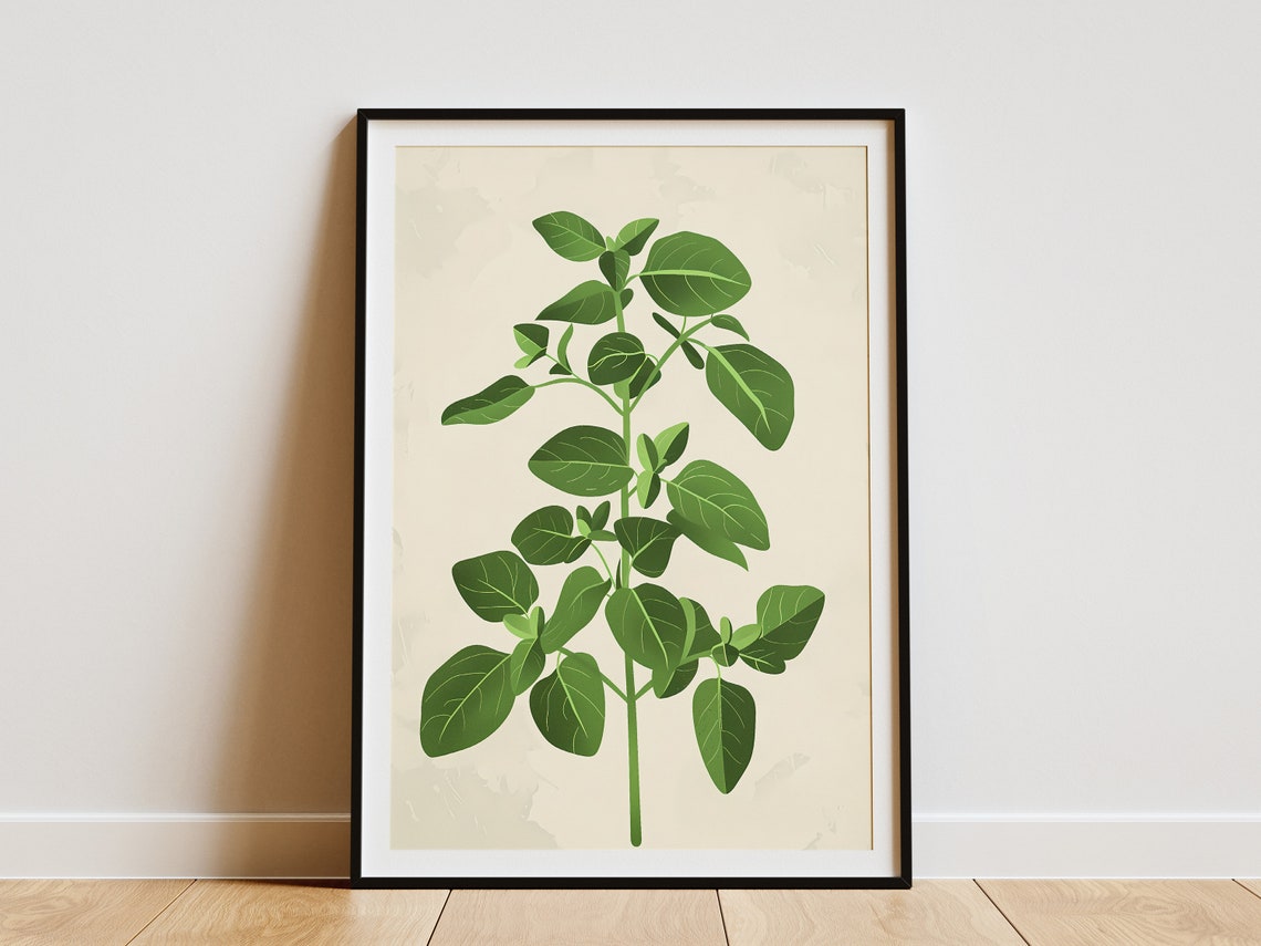 Oregano Herb Plant Botanical Minimalist Illustration Art Poster