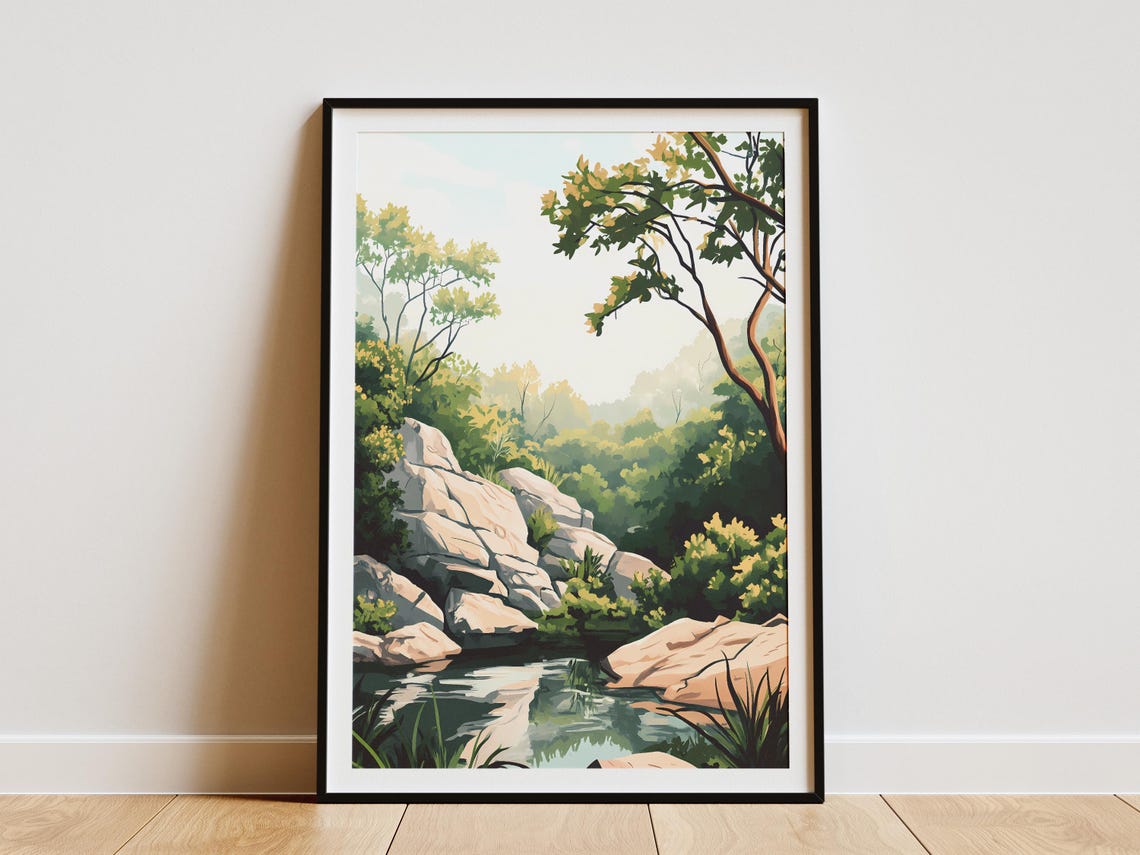 Calm Sunlit Forest Stream Smooth Rocks Lush Green Nature Poster