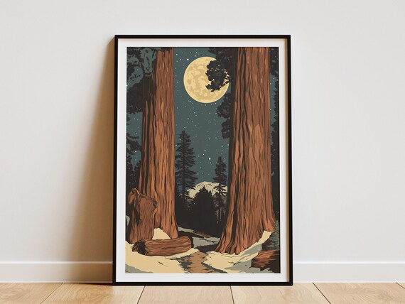 Sequoia National Park Giant Trees Under Moonlit Starry Night Poster