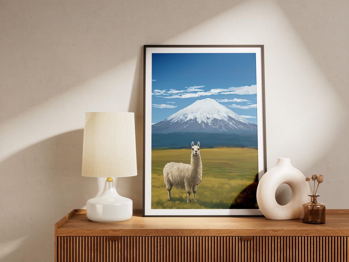 Alpaca In Meadow With Snowcapped Cotopaxi Mountain Andes Poster - Image 5
