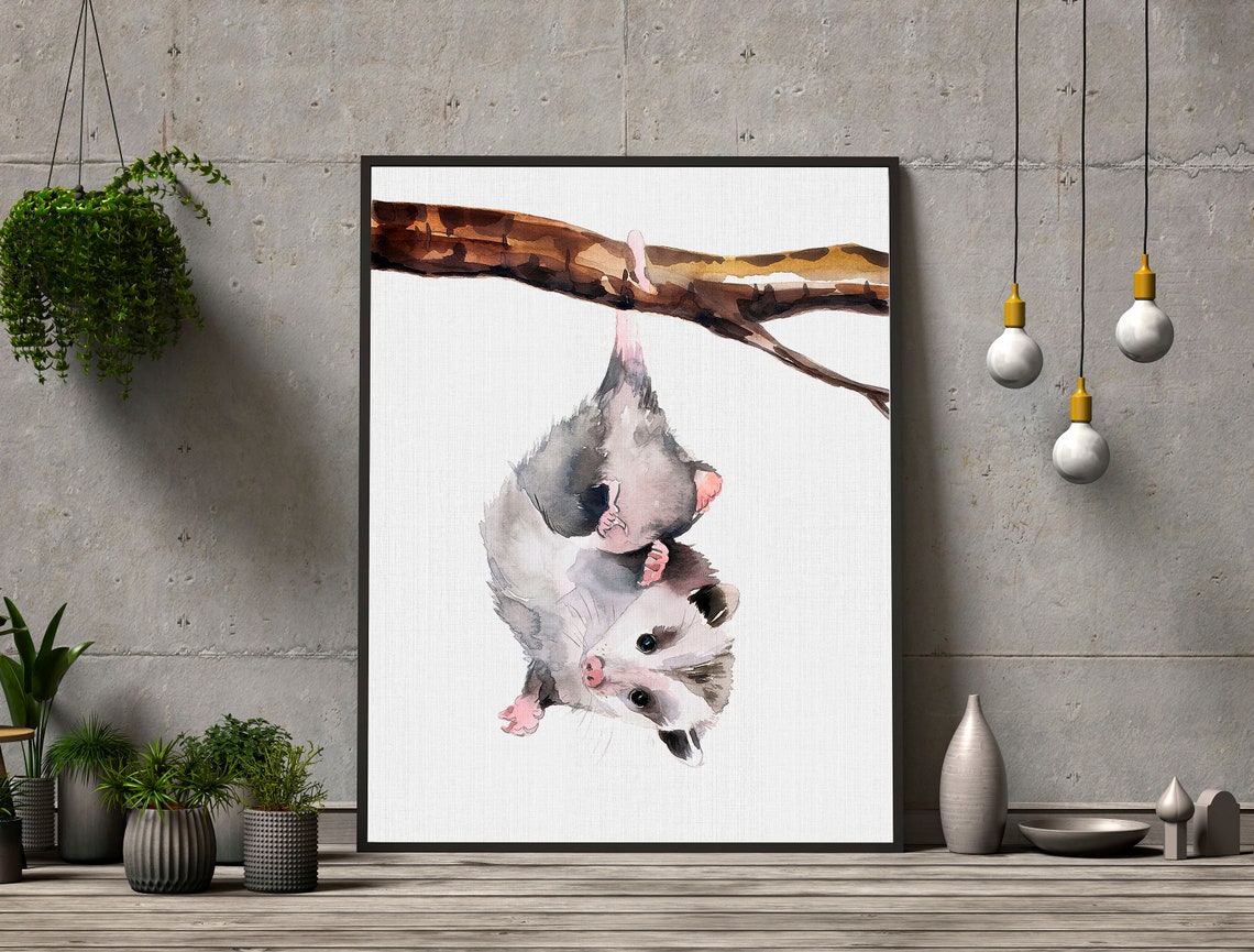 Possum Watercolor Art Print, Nursery Decor - Image 3