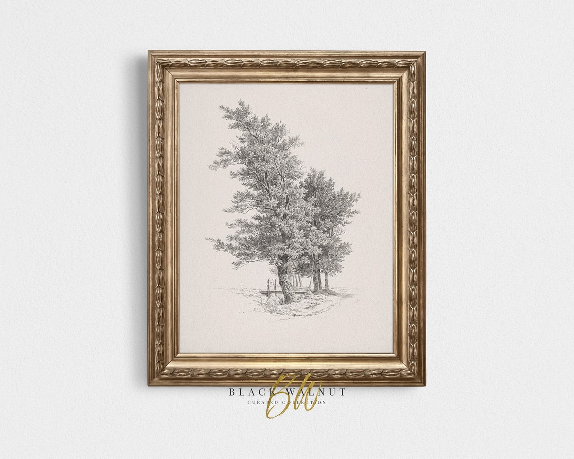 Cluster Trees Antique Pencil Sketch Woodland Vintage Drawing Wall Art
