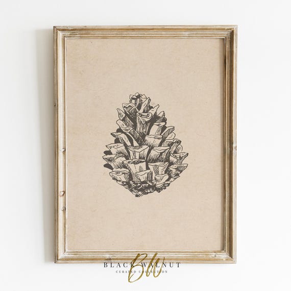Pinecone Art Print, Minimalist Winter Botanical