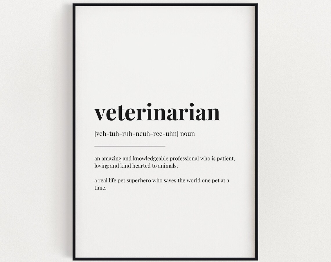 Vet Definition, Gift For Veterinarian Art Print