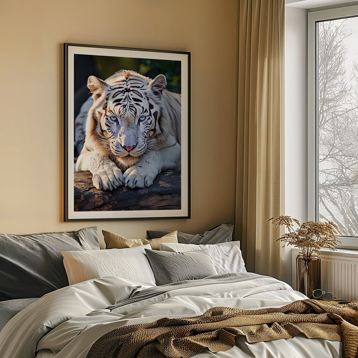 Albino White Tiger Portrait Lying Majestically on a Rock Poster - Image 6