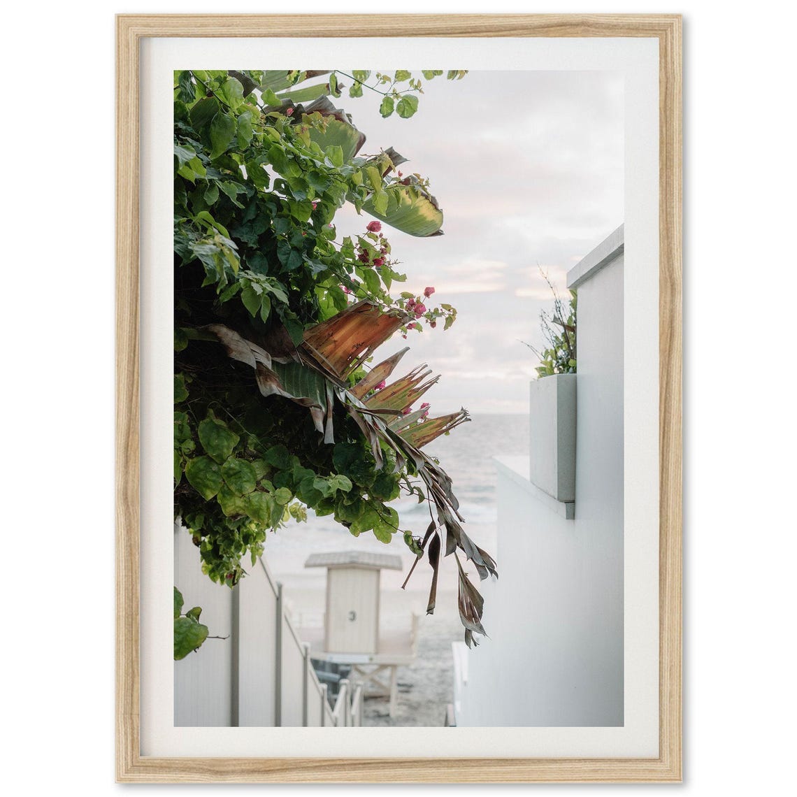 Coastal Beach Path Tropical Plants Ocean View Photography Poster