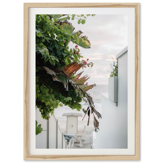 Coastal Beach Path Tropical Plants Ocean View Photography Poster