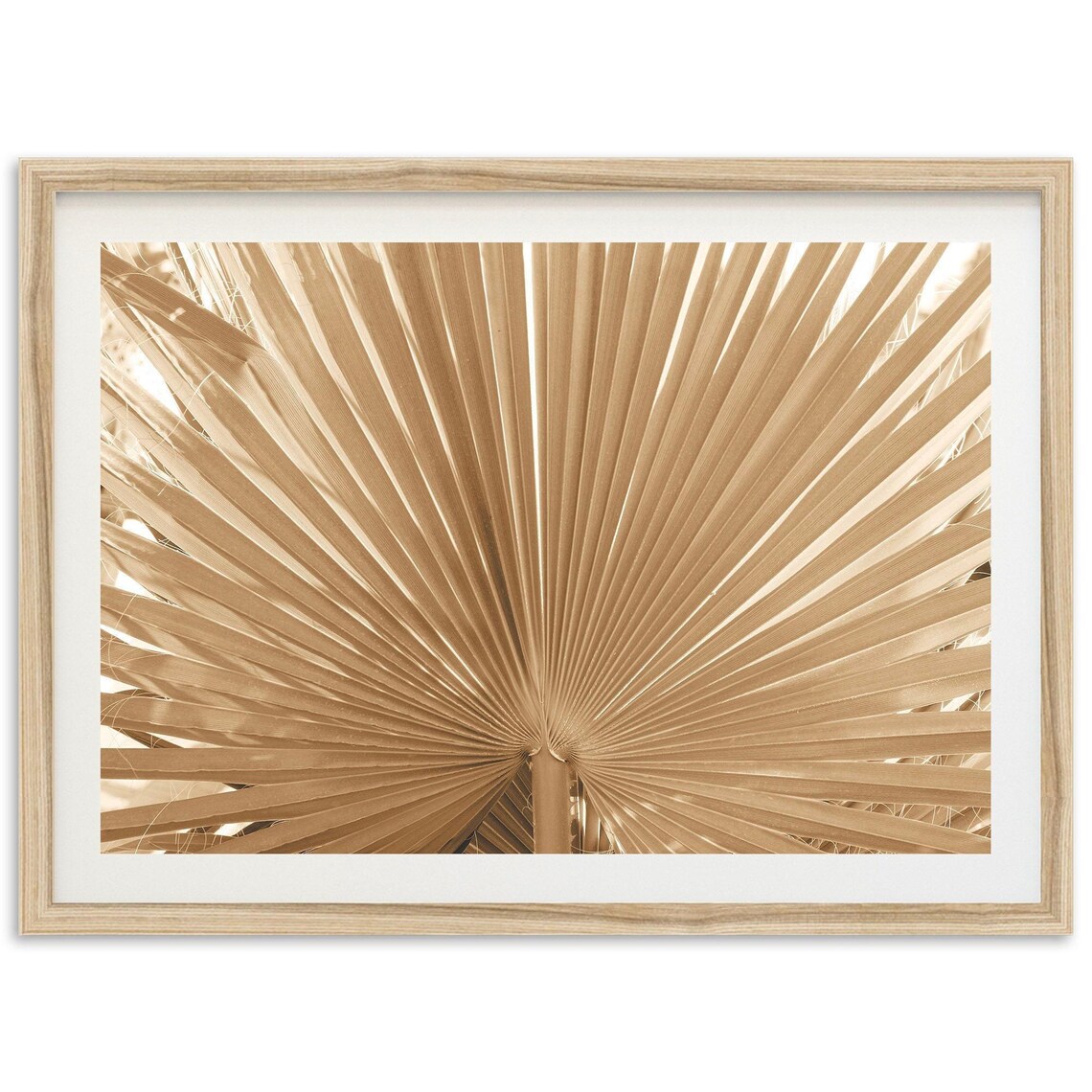 Boho Palm Print, Beach Style Wall Art Print