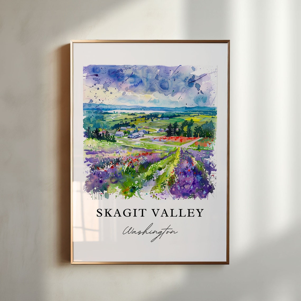 Skagit Valley Washington Blooming Flower Fields Watercolor Poster