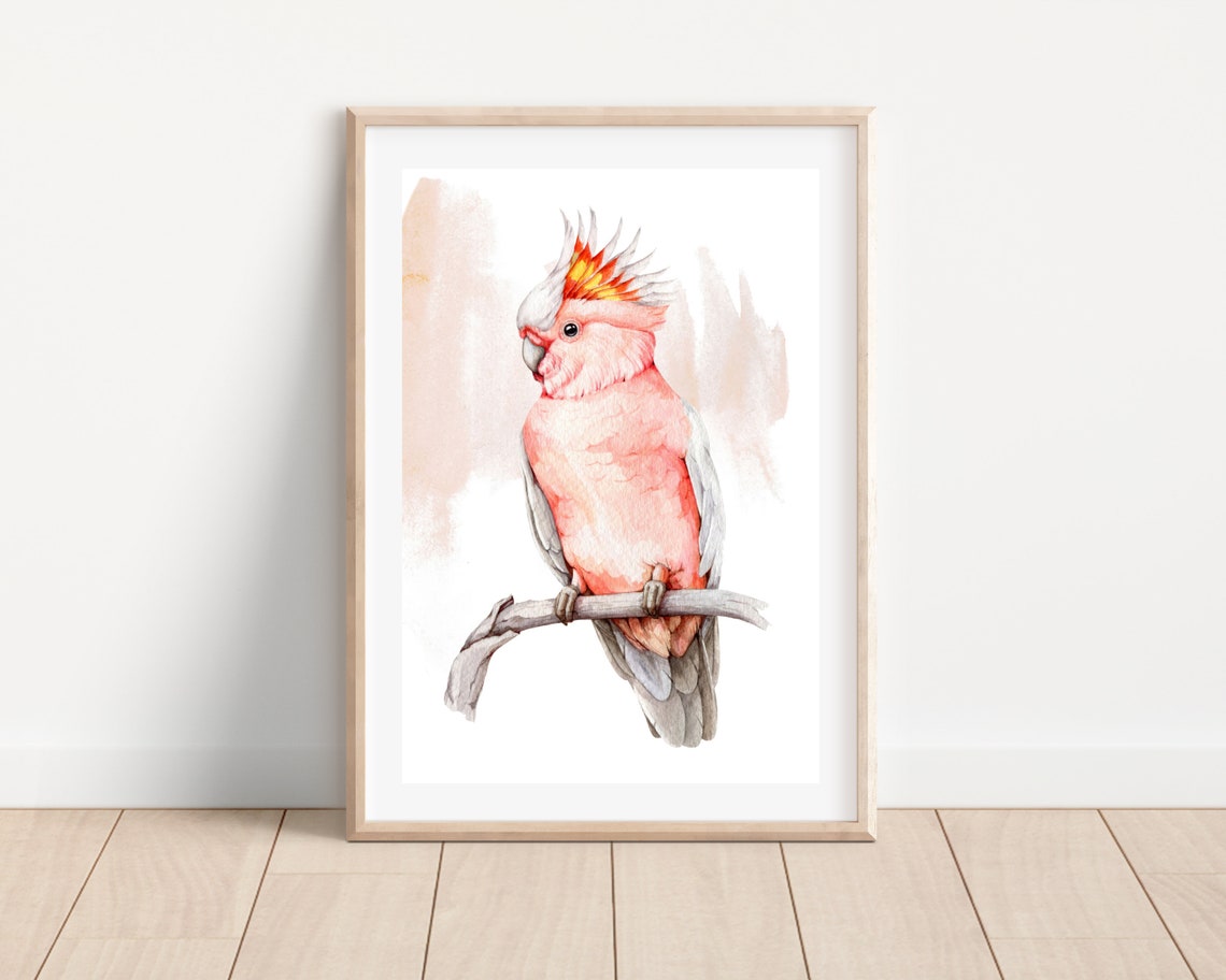 Watercolor Cockatoo Print Pink Cockatoo Art Print Cockatoo Bird Wall Art Tropical Bird Art Print Cockatoo Illustration