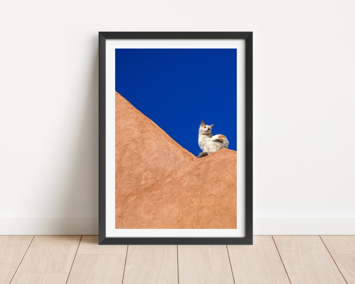 Stray White Cat On Terracotta Wall Against Blue Sky Photo Wall Art