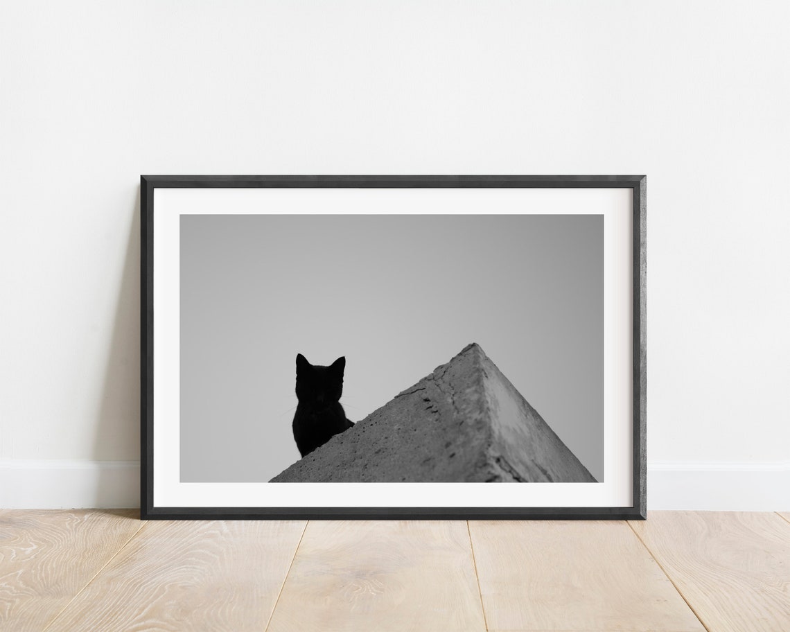 Monochrome Cat Photography Animal Photography Print Spain Photography Street Photography Wall Art Travel Photo Print Cat Photo Poster