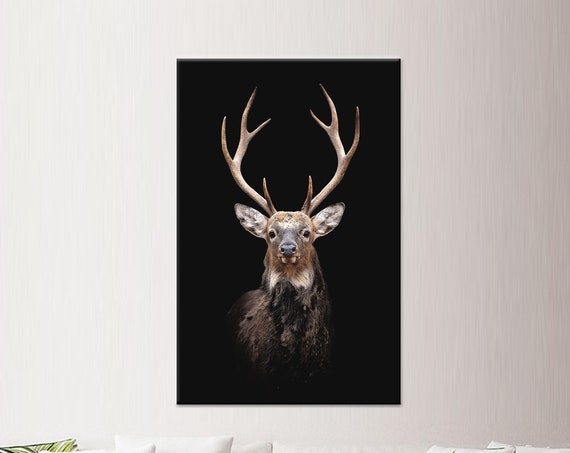 Deer Photo Canvas Wall Art Farmhouse Animal Decor