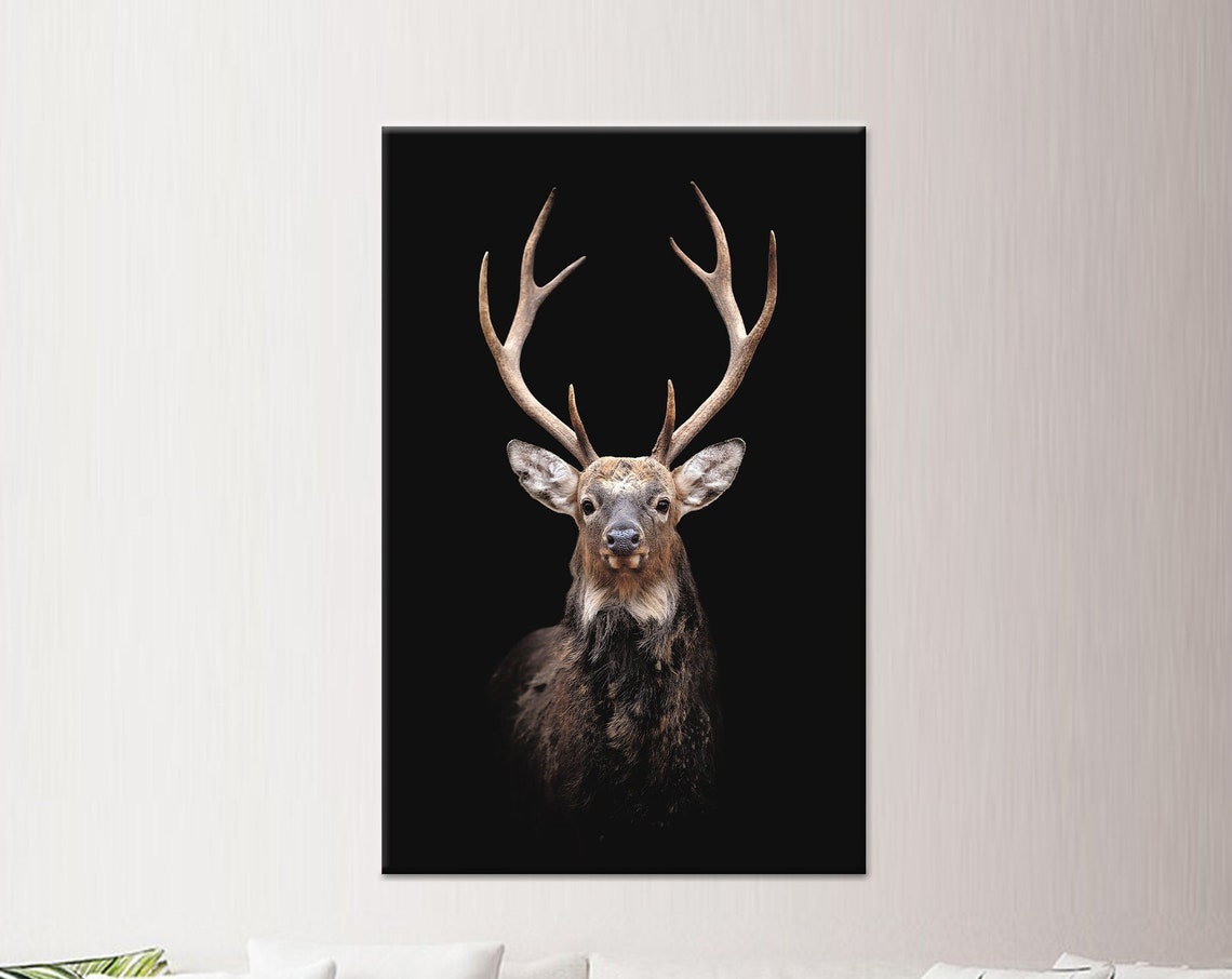 Deer Photo Canvas Wall Art Farmhouse Animal Decor