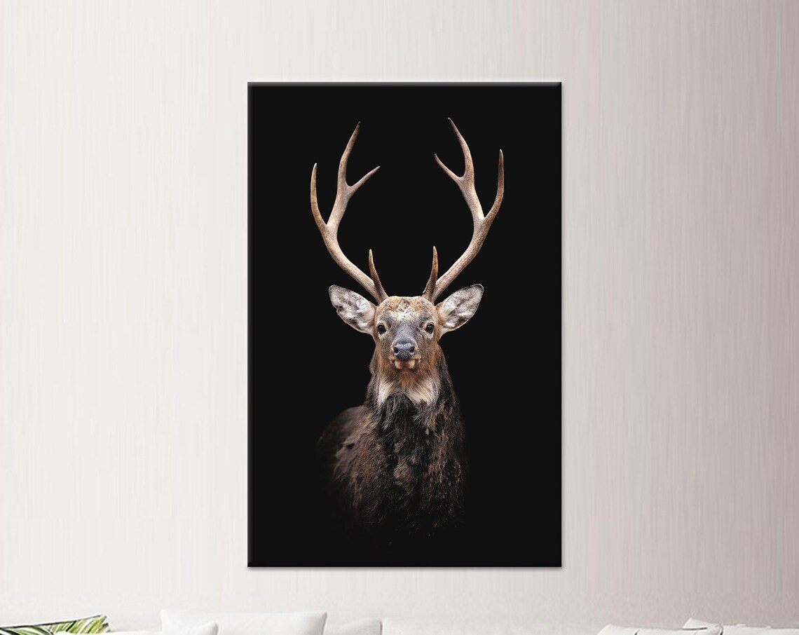 Stag With Antlers on Black Background Minimalist Wildlife Portrait Poster