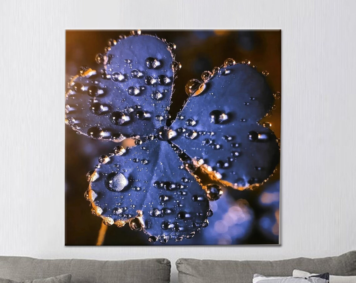 Blue Clover With Dew Drops Macro Botanical Photography Wall Art