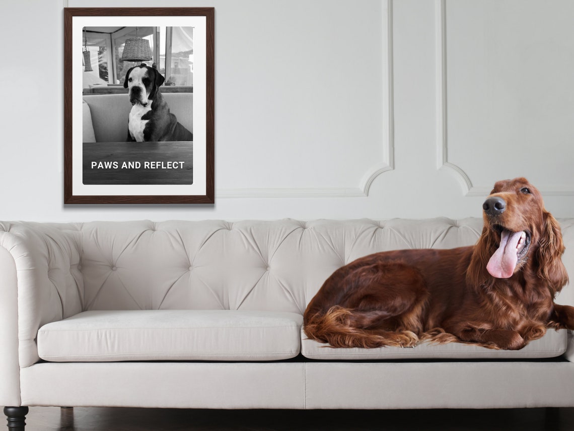 Pet Pun Print Fun Travel Quote Print Wall Art Quote Sassy Holiday Gift For Dog Lovers Cute Dog Photography Sassy Strays Photo