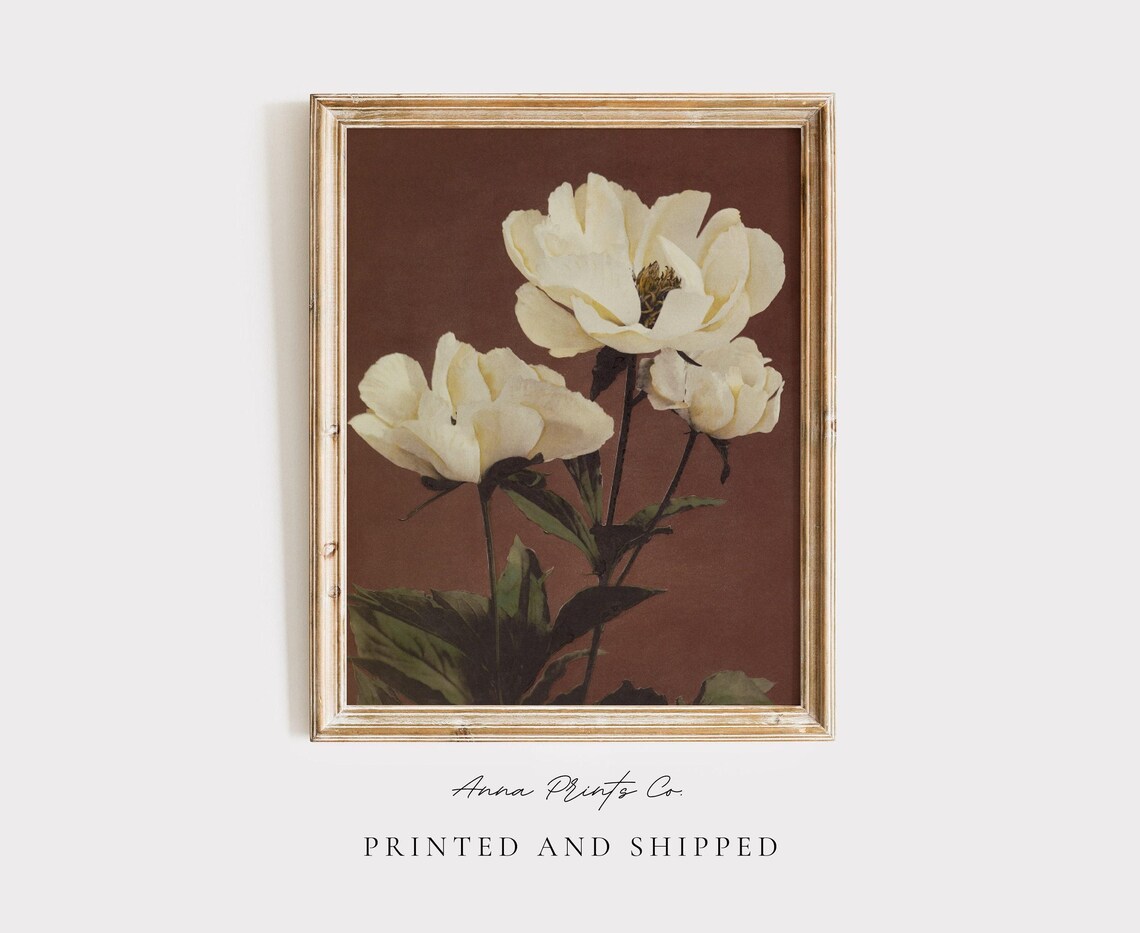 Antique Peony Painting, Vintage Japanese Art Print