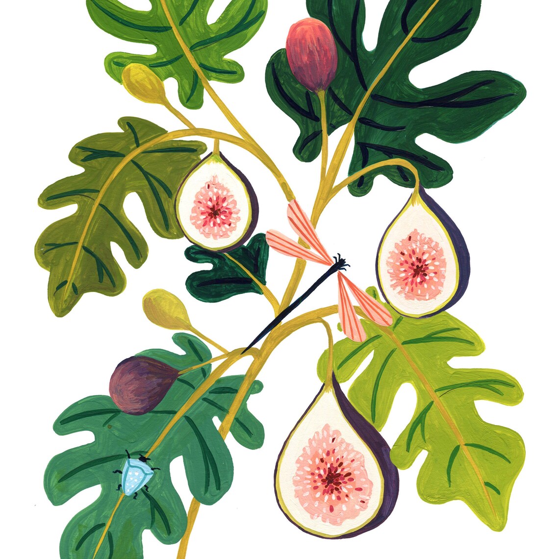 Fig Print Kitchen Decor, Botanical Food Poster - Image 2