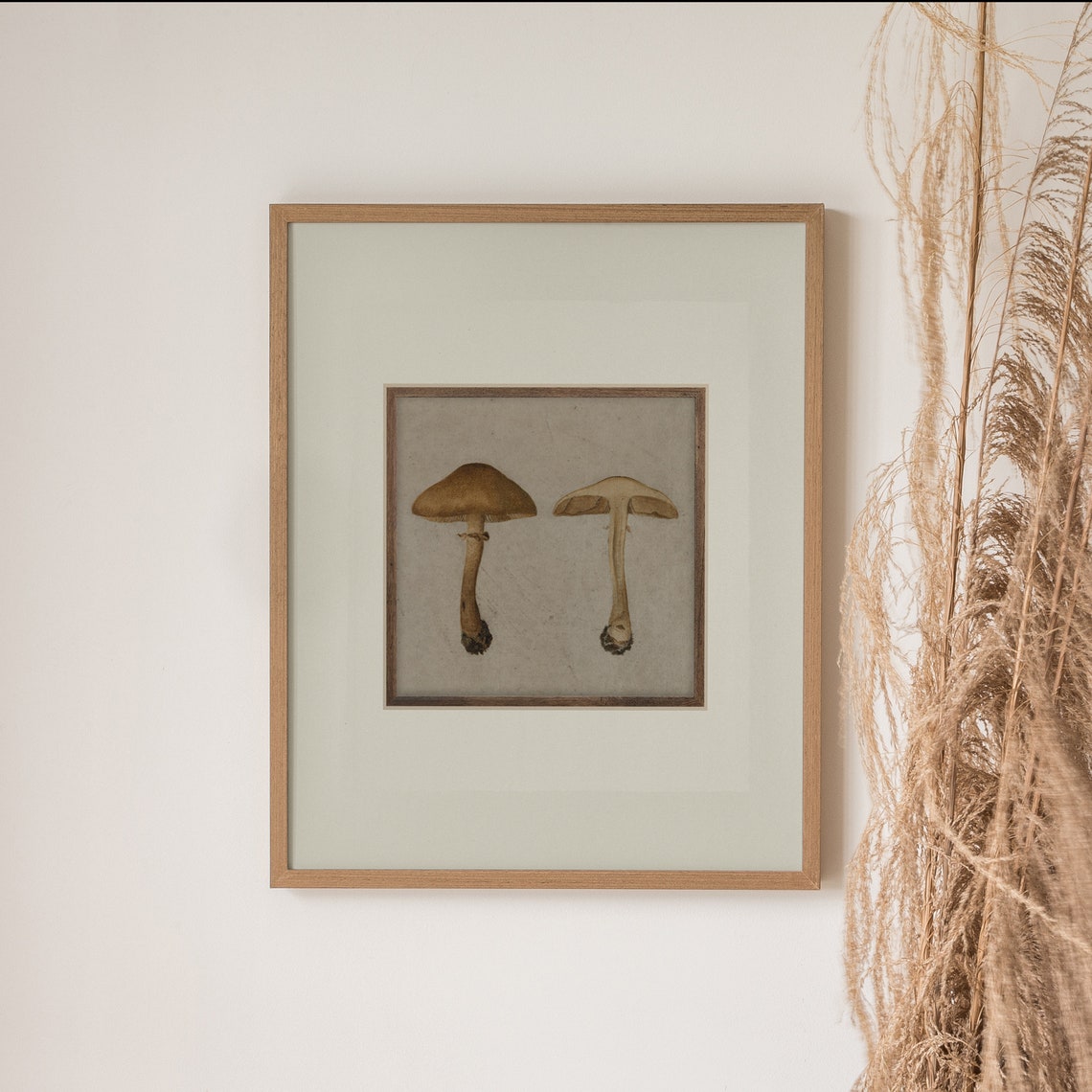 Vintage Botanical Mushroom Study Pair Antique Nature Art Poster - Image 2