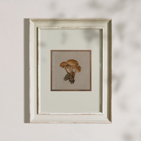 Vintage Mushroom Watercolor Study Rustic Cottagecore Botanical Poster