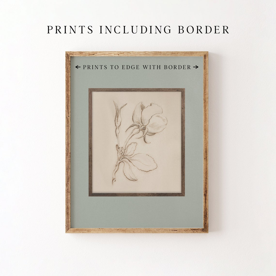 Vintage Rose Sketch Botanical Sepia Line Drawing Minimalist Poster - Image 5