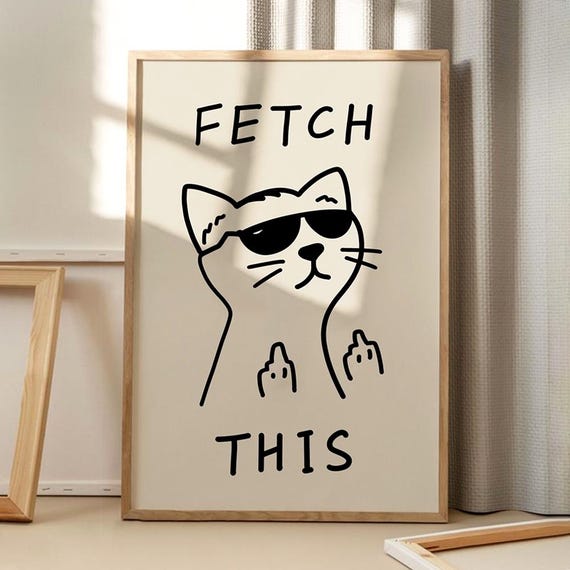 Fetch This Cat Funny Retro Cat Art Poster