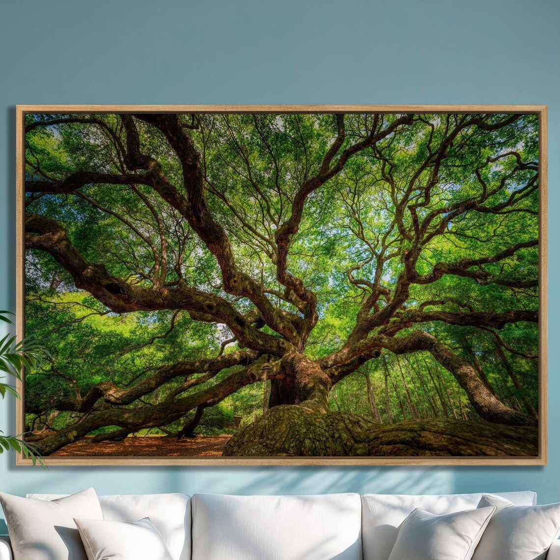 Angel Oak, Charleston South Carolina Travel Poster