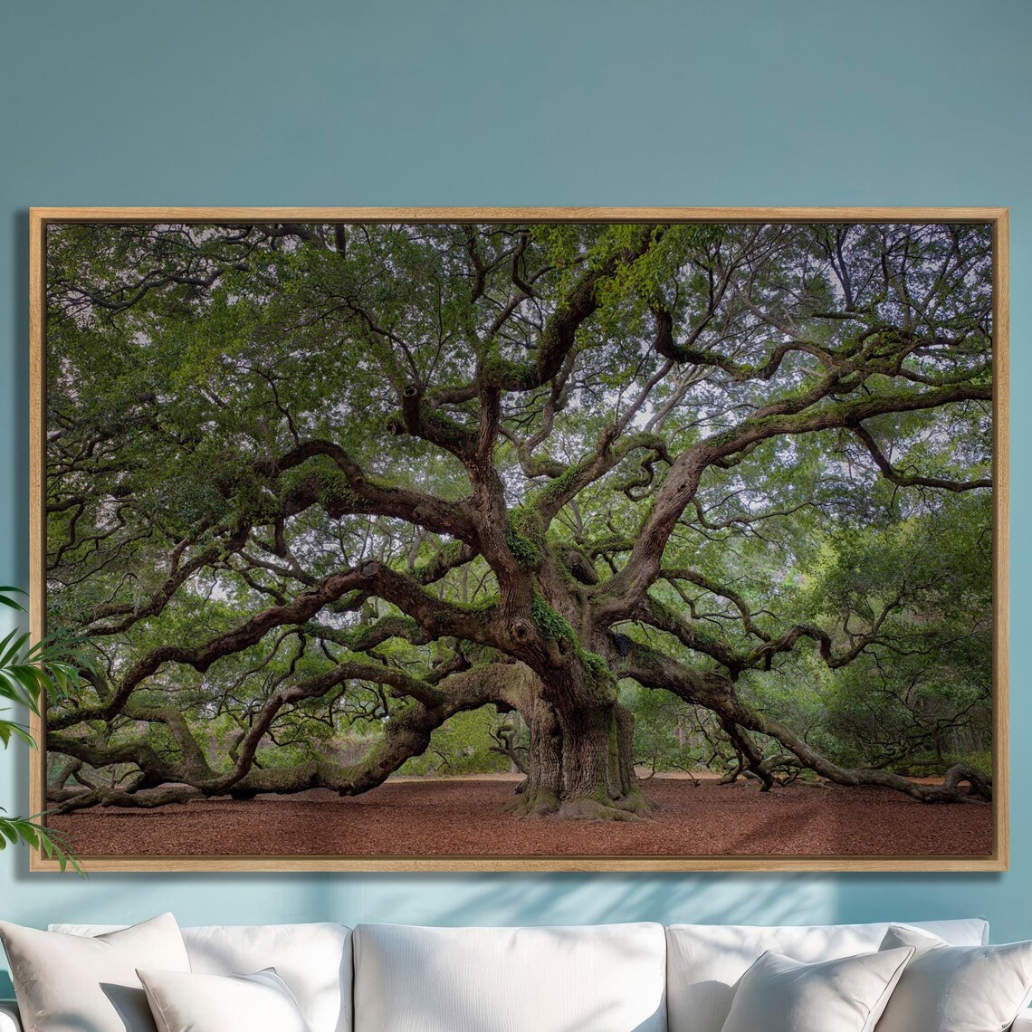 Old Southern Live Oak Art Print, Botanical Decor
