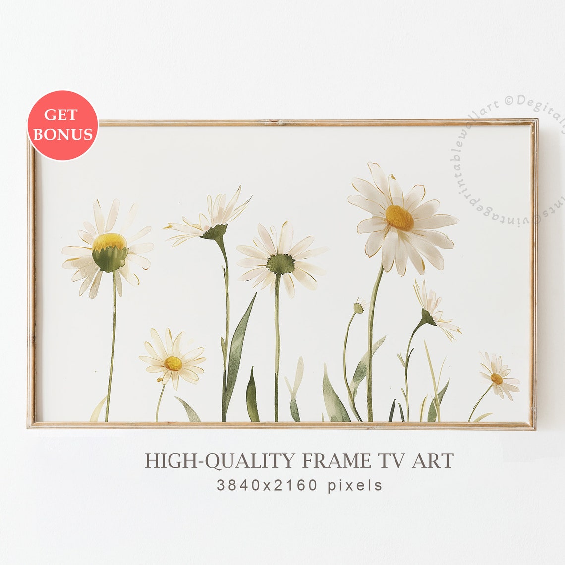 White Daisy Wildflowers Watercolor Delicate Minimalist Floral Poster
