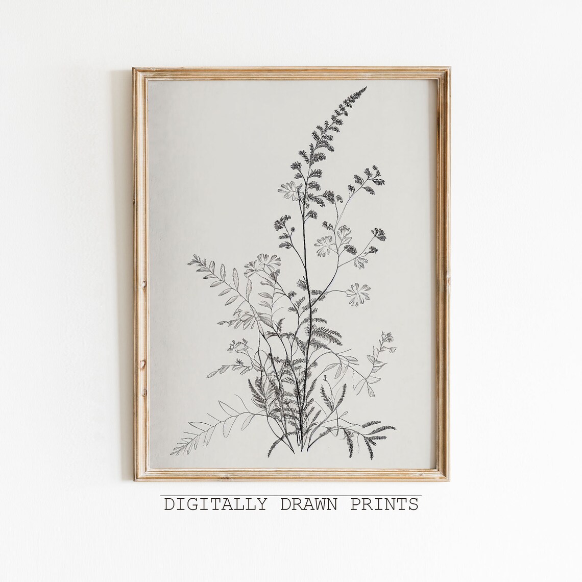 Vintage Botanical Sketch, Antique Art Print