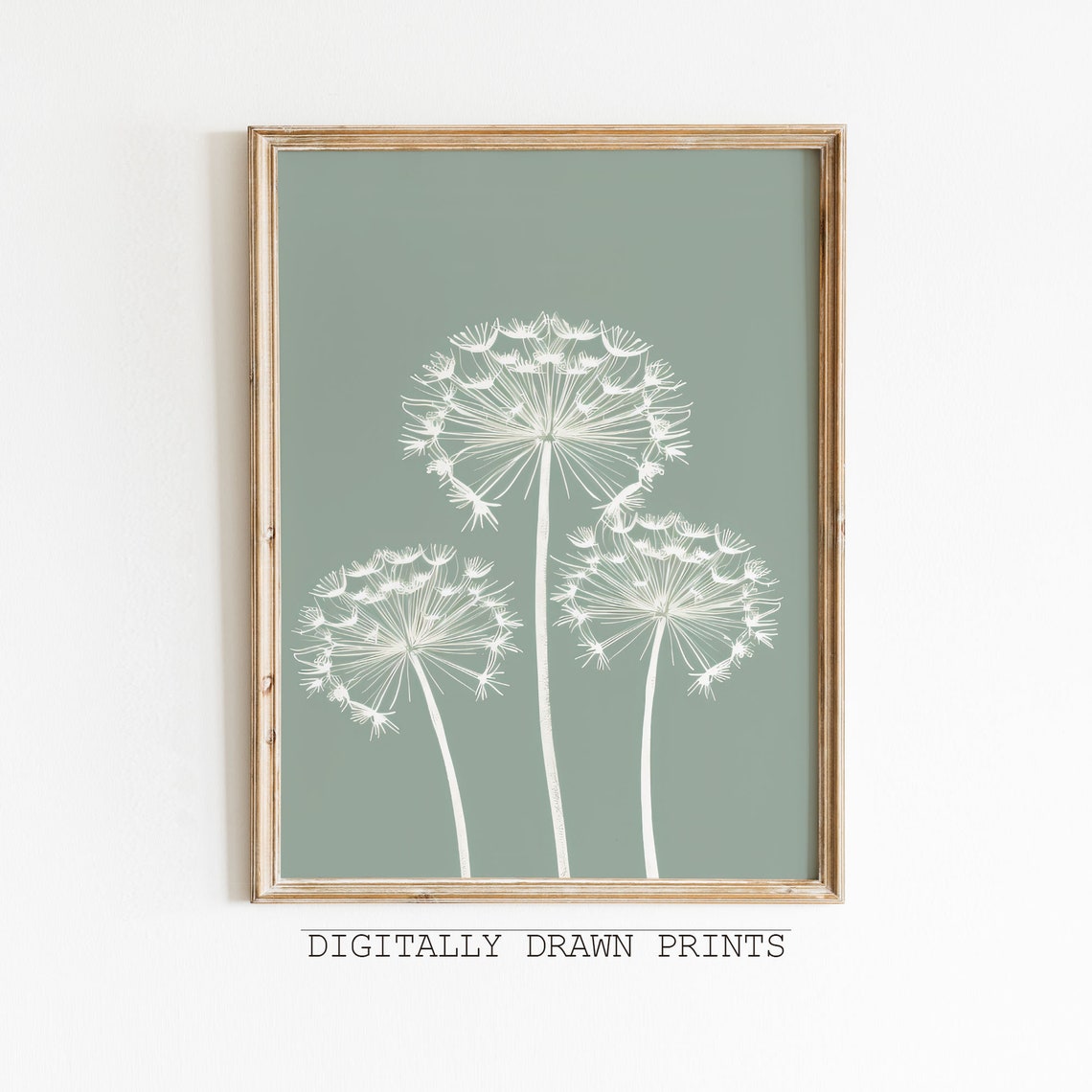 White Dandelion Seed Heads Sage Green Minimal Botanical Wall Art Print - Image 3
