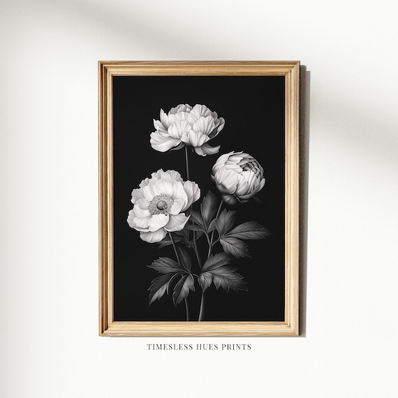 White Peonies On Black In A Moody Gothic Botanical Style Poster