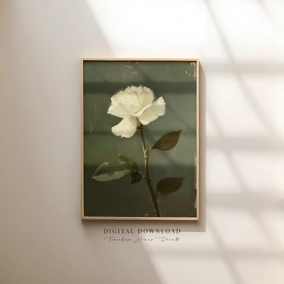 White Rose Moody Floral Oil Painting Poster Dark Chiaroscuro Botanical Art