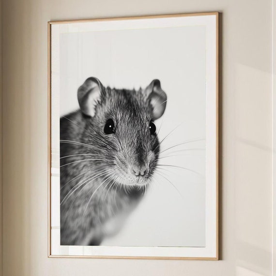 Rat Fashion Magazine Inspired Poster Animal Portrait Photography Print Funny Bathroom Decor Large Wall Art 2803