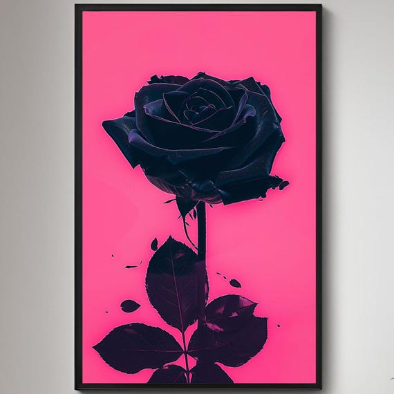 Black Rose On Pink Poster Illustration Print Wall Art Instant