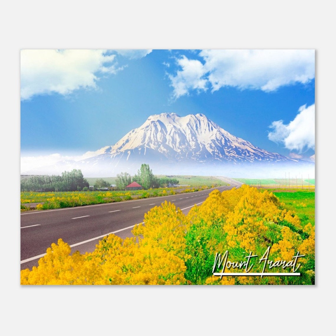 Mount Ararat Turkey Snowcapped Peak Golden Wildflowers Road Poster